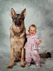 baby with german Shepard 