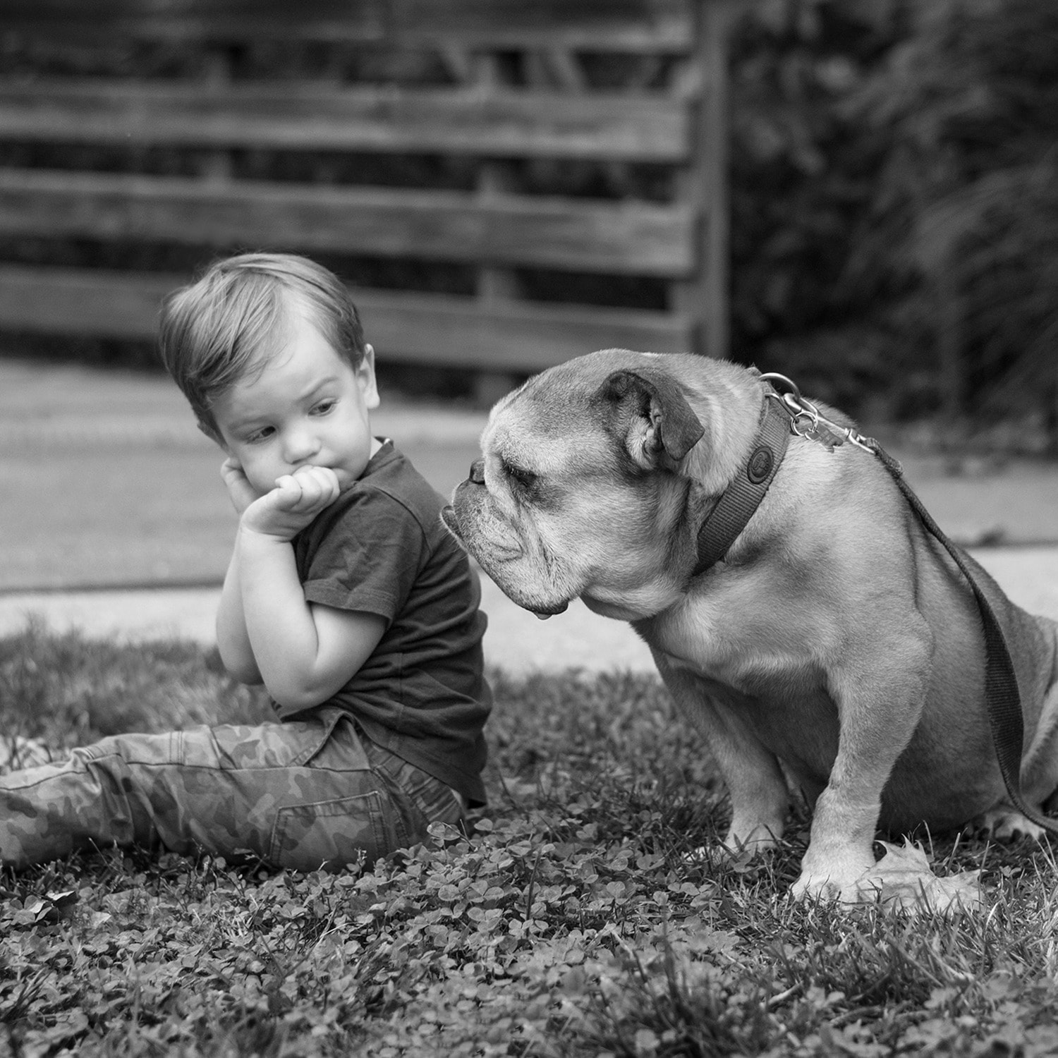 Small boy looking over shoulder at bulldog
