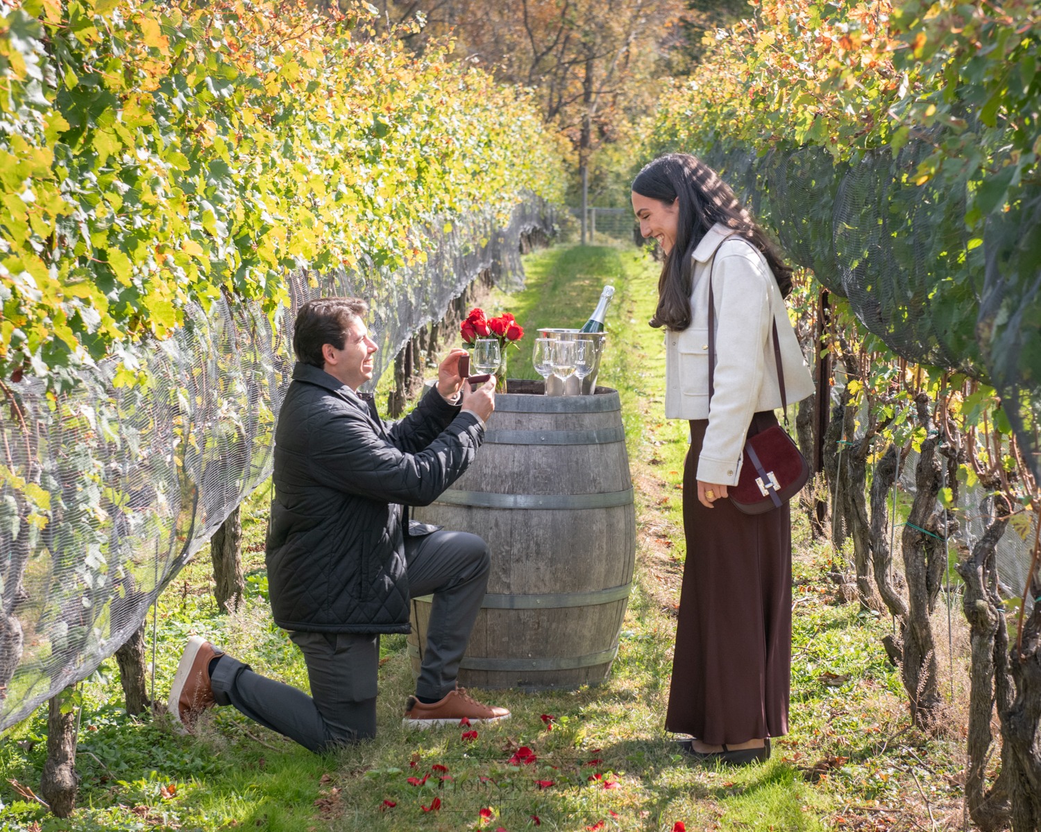 Engagement Photo Glen Mills Pa